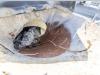 De Buf BETON MIXER/MALAXEUR/MISCHER 12M3 Photo 13 thumbnail