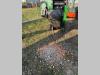 Demoltech JC503 Photo 3 thumbnail