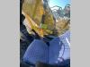 Komatsu PC210LCi-11 Photo 10 thumbnail