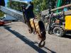 Daf CF85.430 + Effer 550 6/S Crane Photo 16 thumbnail
