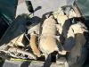 Ammann ART 240 Photo 10 thumbnail
