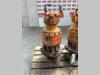 Moteur de rotation pour Fiat Hitachi FH 400 Photo 2 thumbnail