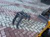 Gior 16 Evo.5 - CON PINZA TRONCHI - POWER KUBOTA Photo 27 thumbnail