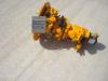 Pompe hydraulique pour Mecalac A4VG56DA1D6/31R PER 8CXI Photo 1 thumbnail
