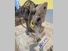 S1 for 20-25 ton excavators Attache rapide hydraulique Photo 1 thumbnail