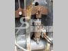 Leonardi Benne 60 Photo 9 thumbnail