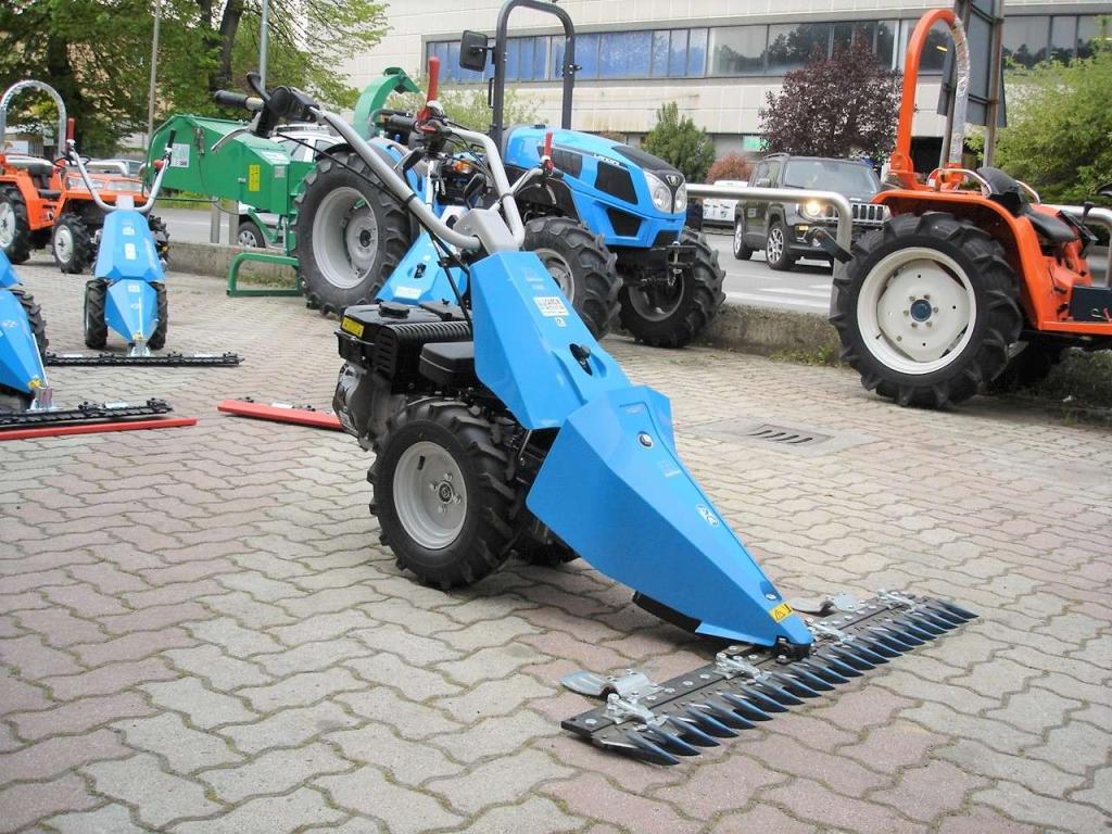 Bertolini 130 S - MOTORE EMAK BENZINA Photo 10