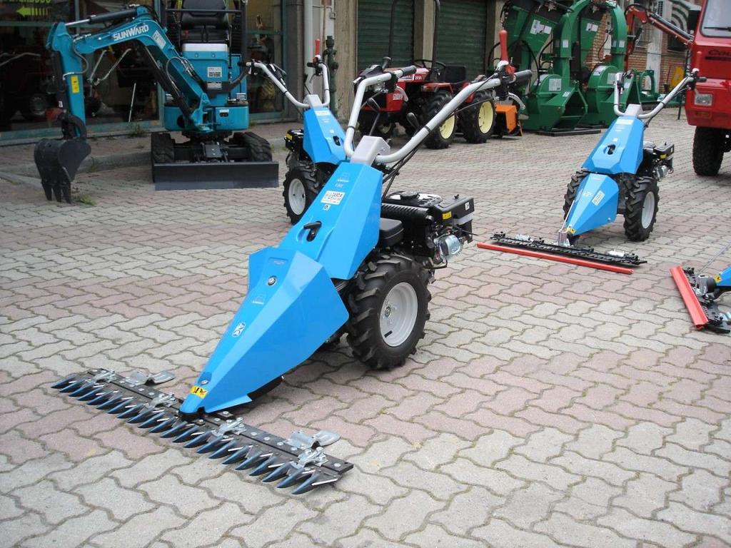 Bertolini 130 S - MOTORE EMAK BENZINA Photo 3