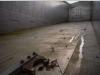 Wielton ALU - 52 M3 ( Grain/CEREALIERE) Photo 10 thumbnail
