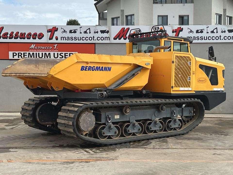 Bergmann 4010R Photo 21