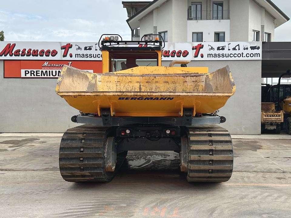 Bergmann 4010R Photo 22
