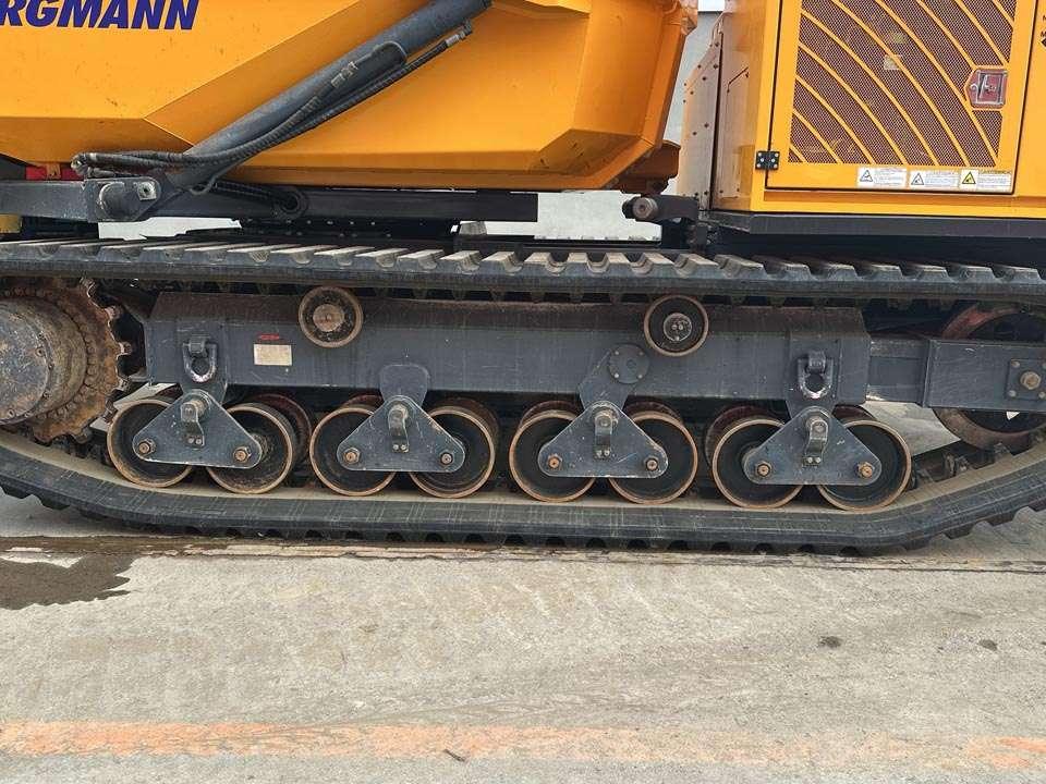 Bergmann 4010R Photo 4