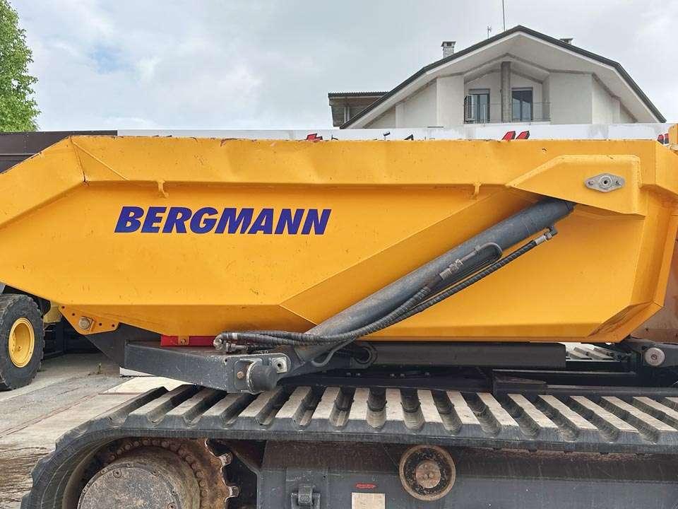 Bergmann 4010R Photo 6