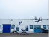 Oil&Steel OCTOPLUS 21 Photo 9 thumbnail