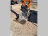Trevi Benne Verachtert CW10 Photo 12 thumbnail