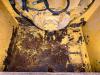 Caterpillar D6 | 513-6215 BAR GP-STRIKER Photo 3 thumbnail