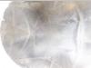 Feldbinder EUT 40.3- 40.000 L CEMENT/CIMENT/ZEMENT Photo 10 thumbnail