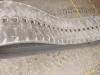 Chenille caoutchouc pour per minipala - misure 450-86-55 Photo 1 thumbnail