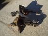 Macchinetta registro freni pour Fiat Allis FL9 Photo 1 thumbnail
