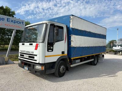 Iveco EUROCARGO 75E12 en vente par Bridge Export Srl