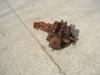 Distributeur hydraulique pour Fiat Kobelco W190 Photo 3 thumbnail