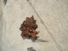 Distributeur hydraulique pour Fiat Kobelco W190 Photo 4 thumbnail
