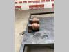 Galets supérieurs pour Hitachi Zx135 US-7 Photo 2 thumbnail