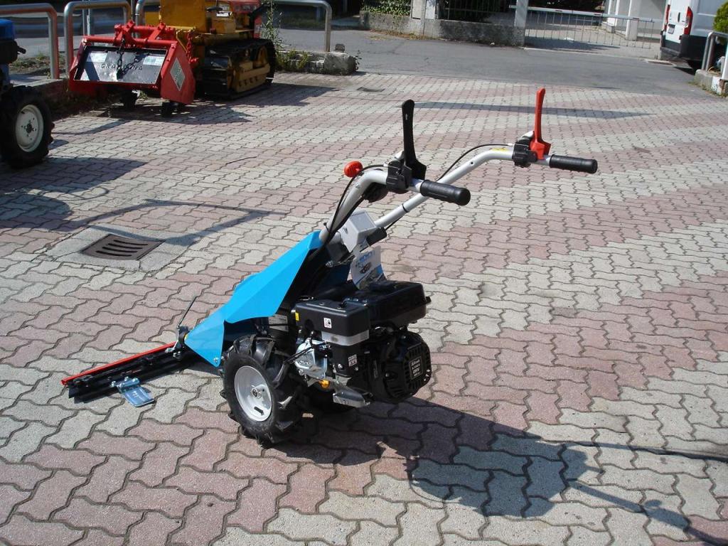 Bertolini 110 - MOTORE EMAK BENZINA Photo 17