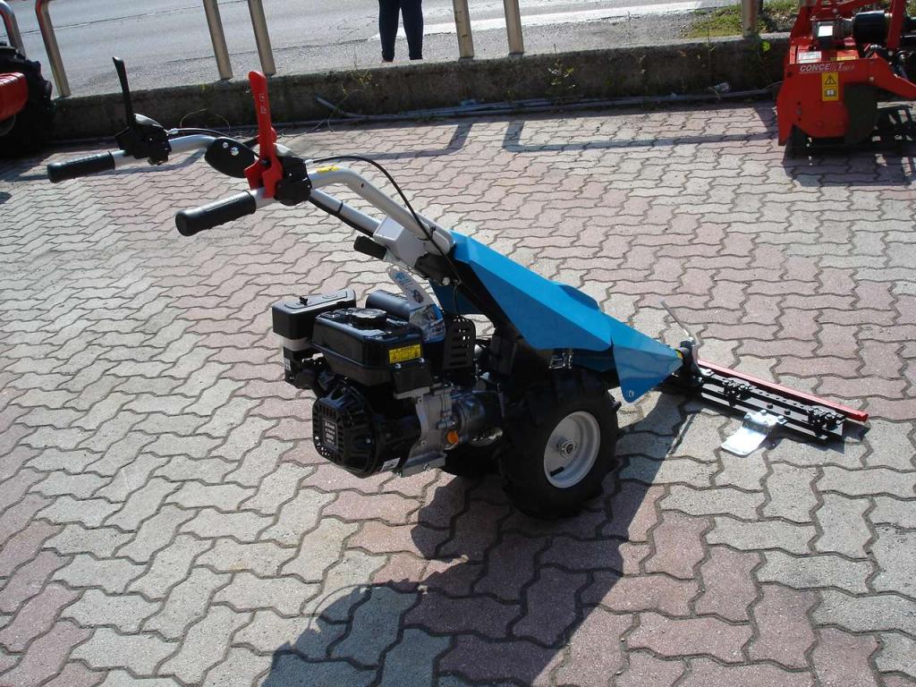 Bertolini 110 - MOTORE EMAK BENZINA Photo 19