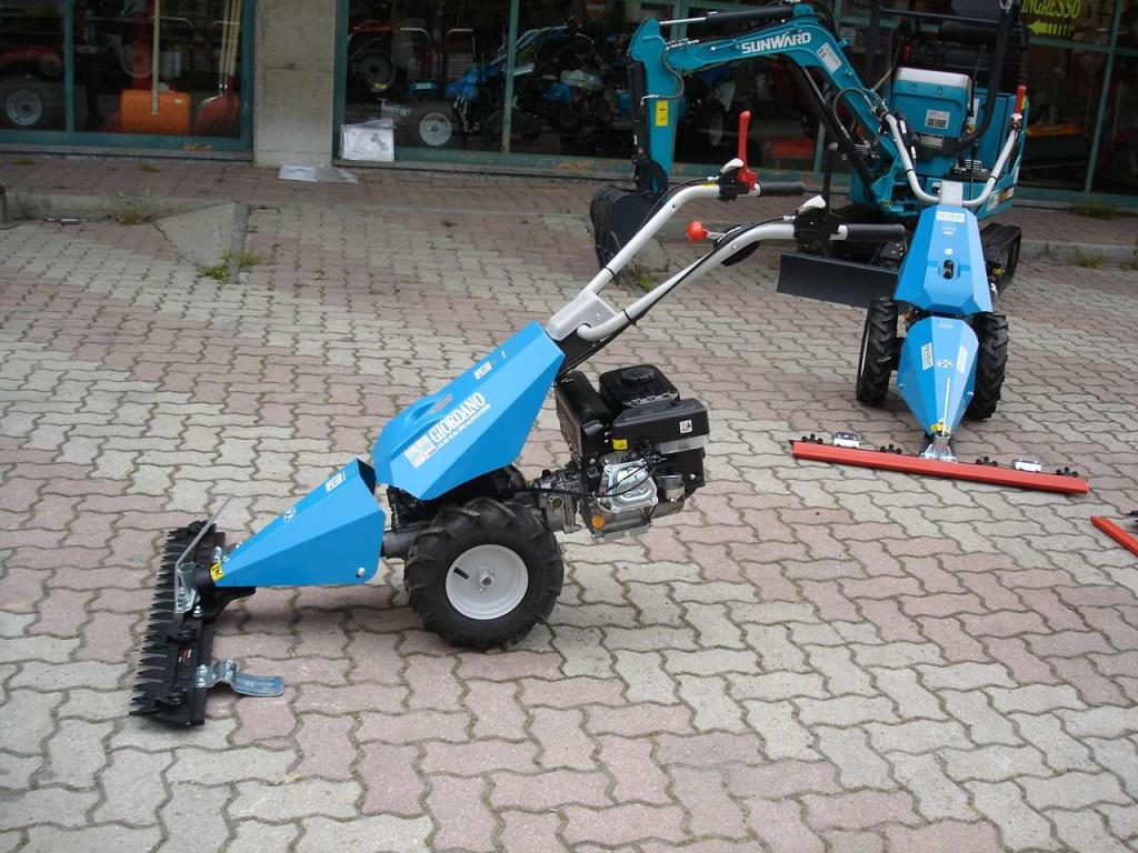 Bertolini 110 - MOTORE EMAK BENZINA Photo 5
