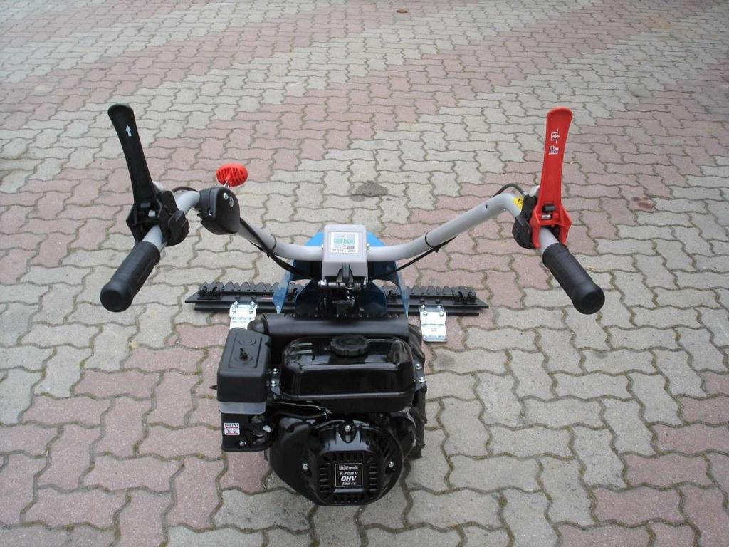Bertolini 110 - MOTORE EMAK BENZINA Photo 7