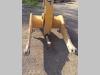 Bras pour chargeuse pour Caterpillar 953 C Photo 5 thumbnail