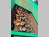 Bialbero SCARRABILE USATO BIALBERO Photo 14 thumbnail