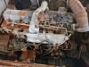 Fiat Kobelco EX235 Photo 5 thumbnail