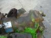 Moteur hydraulique pour Merlo GX097 A GRU Photo 2 thumbnail