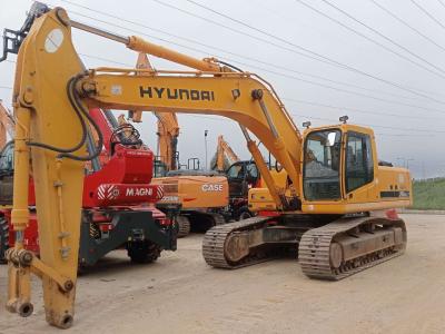 Hyundai Robex 290NLC-10 en vente par Iveco Orecchia Spa