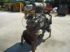 Moteur à combustion pour Fiat Hitachi W130 - FIAT 8065.25 Photo 2 thumbnail