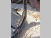 JCB 18Z Photo 4 thumbnail