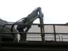 Mercedes-Benz 1017 4X4 ex army reconditioned white with crane Photo 9 thumbnail