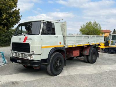Fiat 673N 4X2 Vintage en vente par Massucco T. Srl