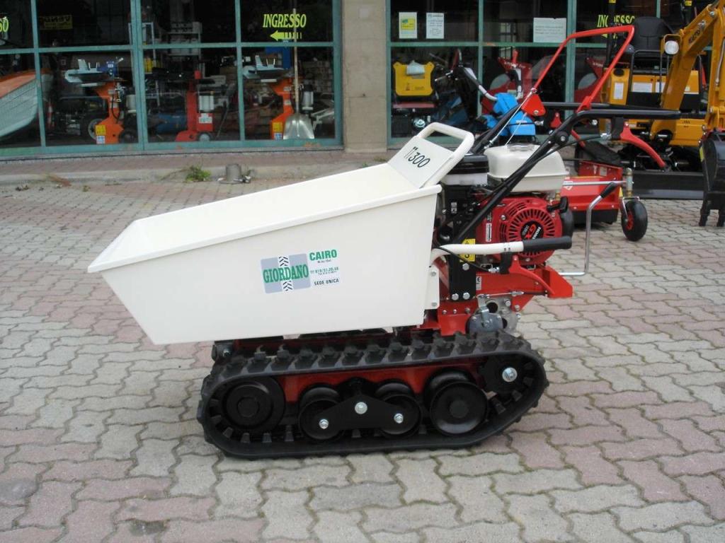 Tekna TT 300 DUMPER - MOTORE HONDA Photo 12