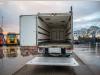 Renault PREMIUM 300DXI+POUSSIN/CHICKEN/KUIKEN/KÛKEN+DHOLLANDIA Photo 5 thumbnail