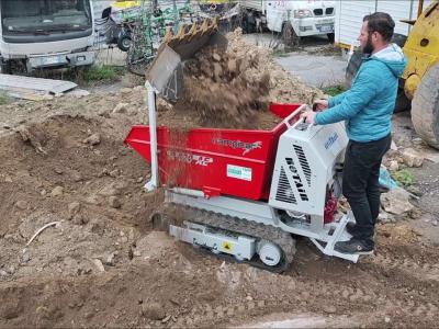 Rotair RAMPICAR R 100 AE HONDA - CON BENNA DENTATA per MOVIMENTO TERRA - NOVITA' ASSOLUTA en vente par Giordano Srl