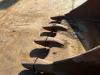 Caterpillar Caterpillar teeth Bucket 385 Photo 7 thumbnail