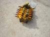 Distributeur hydraulique pour per Muletto Mecalac 8CXI Photo 1 thumbnail