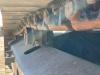 Caterpillar 329ELN Photo 13 thumbnail