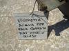Vaschetta acqua pour Fiat Hitachi W130 Photo 3 thumbnail