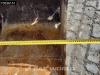 Wacker Neuson ET90 ET90 A/C Photo 18 thumbnail