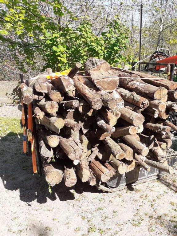 Gior 600 Kg CASSONE AGRICOLO RIBALTAMENTO IDRAULICO SPONDE SMONTABILI Photo 3