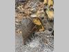 Caterpillar 320B Photo 13 thumbnail